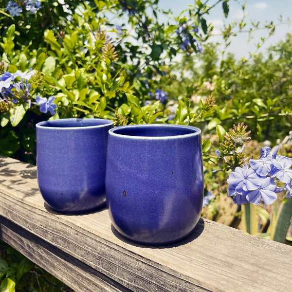 Set of Two Tumblers