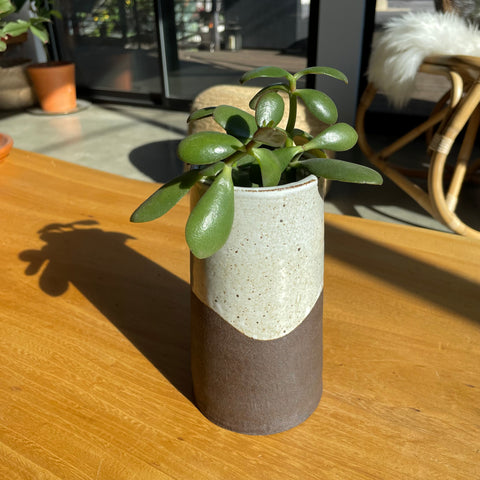 Wave Vase in Toasted Marshmallow