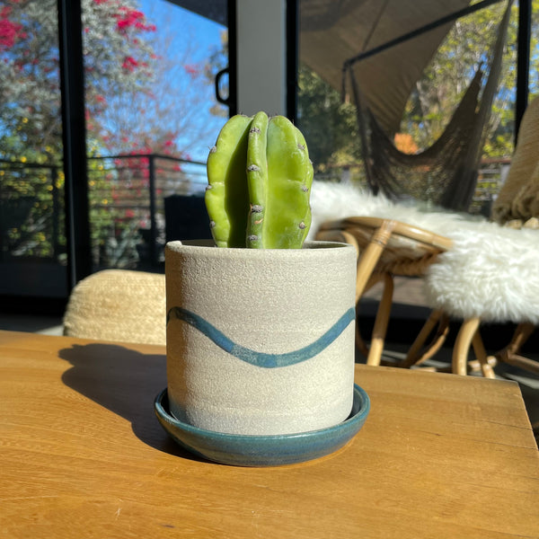 Snake Planter in Denim