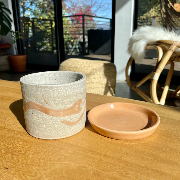 Snake Planter in Apricot