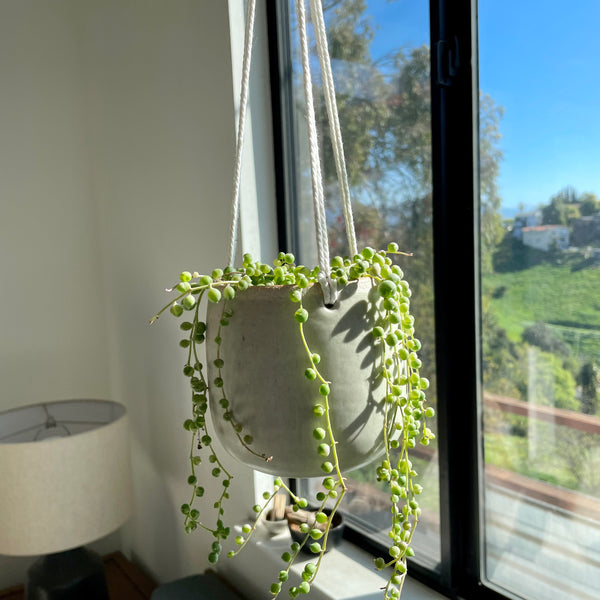 Hanging Planter in Egg