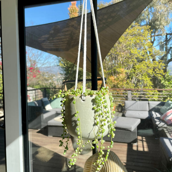 Hanging Planter in Egg