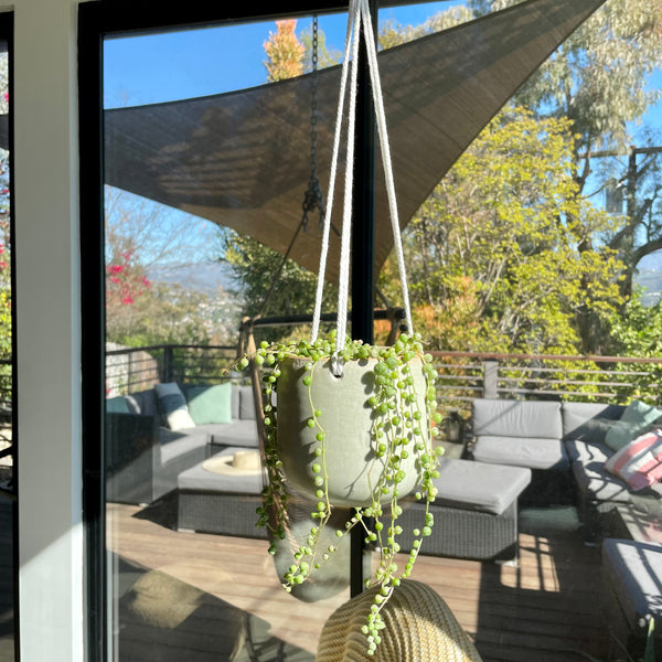 Hanging Planter in Egg