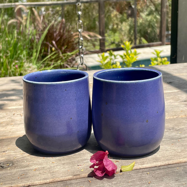 Set of Two Tumblers